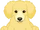 Golden Dox Puppy