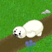 Sparkle Harp Seal Gif