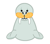 walrus webkinz