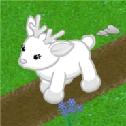 Frosty Fawn v240.gif (30 KB)