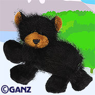 Black Bear Plush Pet