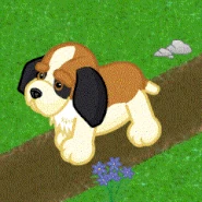 Alpinestbernard v240.gif (1.17 MB)
