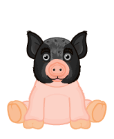 Signature Pot Bellied Pig | Webkinz Wiki | Fandom