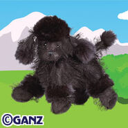 Black Poodle Plush Pet