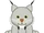 Snow Lynx