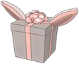 Aardvark Gift Box