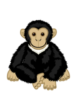 Signature Chimpanzee | Webkinz Wiki | Fandom