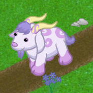 Enchanted Goat eStore Page