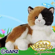 Signature Calico Cat Plush Pet