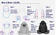 How to Draw a Gorilla.