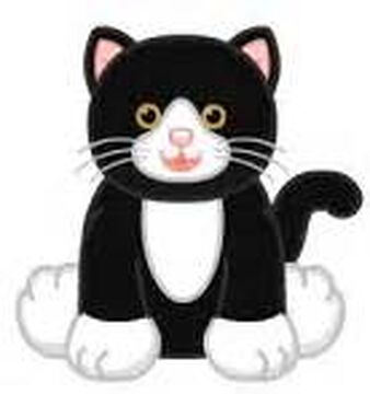 Tuxedo Cat Webkinz Wiki Fandom