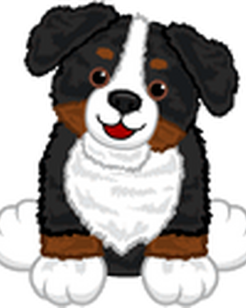 webkinz bernese mountain dog