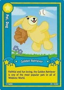 Series 1 (2007): B1-10