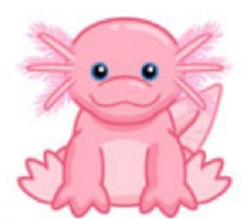 Axolotl on sale webkinz plush