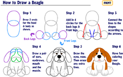 How To Draw A ... | Webkinz Wiki | Fandom