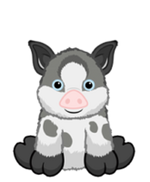 Webkinz pot bellied pig shop