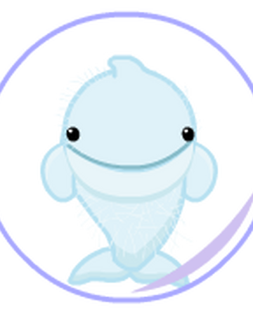 webkinz whale