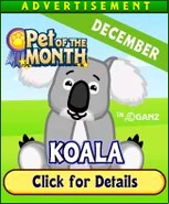 Koala, December 2009