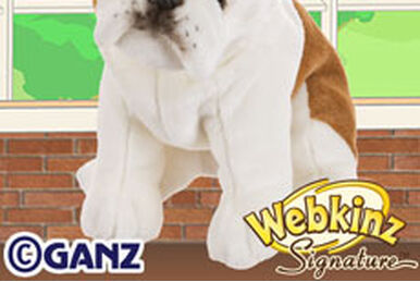Portuguese Water Dog Webkinz Wiki Fandom
