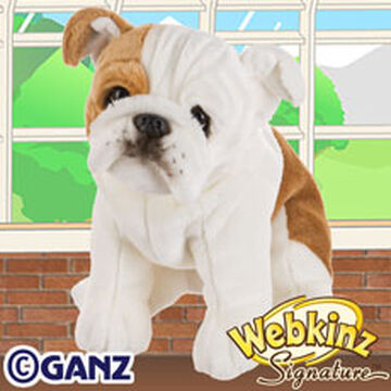 Bulldog webkinz top