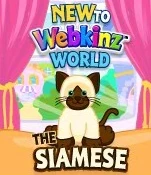 Siamese Cat