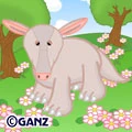Aardvark Portrait