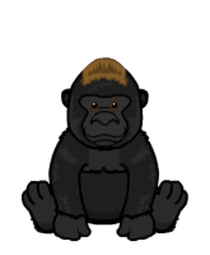 タマゴラス BEAR LION SQUIRREL plain message Secret Stash Slipshod Squirrel - Normal Parallel 25PR-JP002