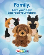 541762468 1191595229680366 7538728529721190818 n.jpg (580 KB) Initial G3 Plush Advertisement