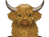Signature Highland Cow