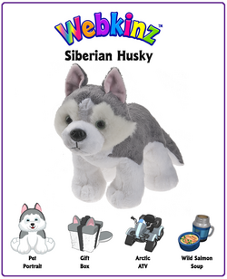Siberian Husky | Webkinz Wiki | Fandom