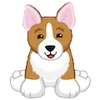 Corgidog