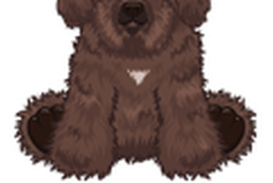 Portuguese Water Dog Webkinz Wiki Fandom