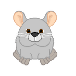 Webkinz rat on sale