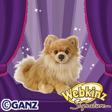 Webkinz pomeranian sales