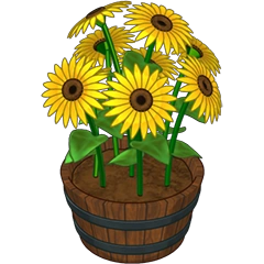 Sunflower Patio Plant | Webkinz Wiki | Fandom