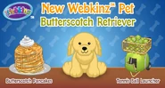 ButterscotchretrieverMP1.jpg (194 KB)
