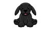 Black Labrador