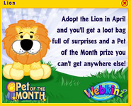 Pet of the Month Ad with Details