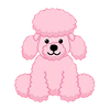 Pink Poodle