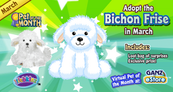 Webkinz new arrivals bichon frise