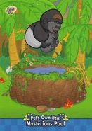 Series 4 (2009): B4-78 (Front)