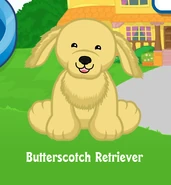 Butterscotch Retriever adoption.png (142 KB)