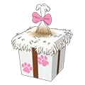 Shih Tzu Gift Box