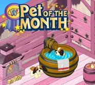 C6FtyCcWgAEqAF2.jpg (68 KB)