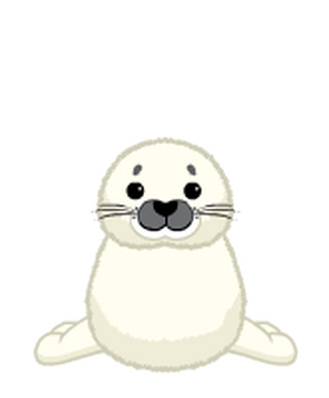 Webkinz signature harp seal store