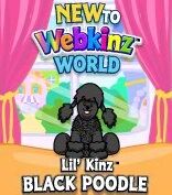 LilKinz Black Poodle New