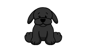 Webkinz Black Labrador Virtual PET Adoption Code Only Messaged Webkinz Labrador! 