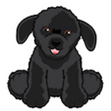 Webkinz black dog new arrivals