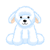 Bichon frise 2