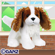 Season 1 | Webkinz Reality TV Show Wiki | Fandom